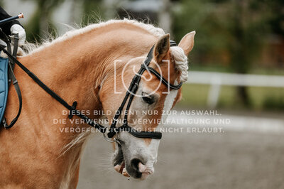 © Niki Buchegger, turnier-fotos.at