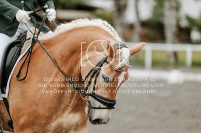 © Niki Buchegger, turnier-fotos.at