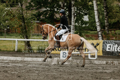 © Niki Buchegger, turnier-fotos.at