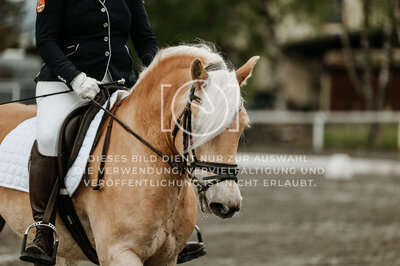 © Niki Buchegger, turnier-fotos.at