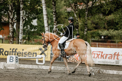© Niki Buchegger, turnier-fotos.at