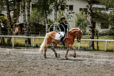 © Niki Buchegger, turnier-fotos.at