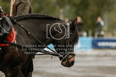 © Niki Buchegger, turnier-fotos.at