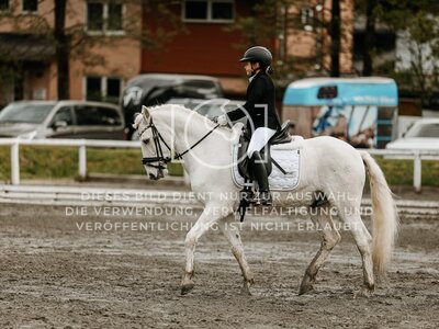 © Niki Buchegger, turnier-fotos.at