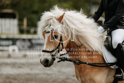© Niki Buchegger, turnier-fotos.at