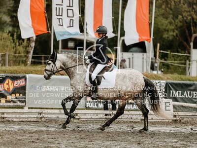 © Niki Buchegger, turnier-fotos.at