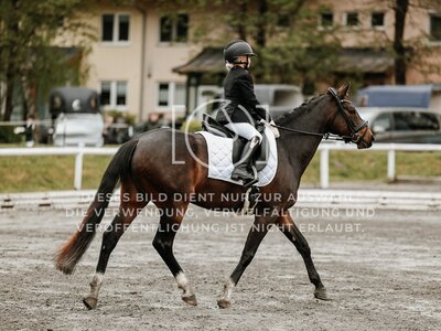 © Niki Buchegger, turnier-fotos.at