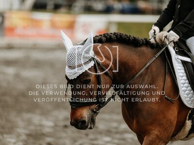 © Niki Buchegger, turnier-fotos.at