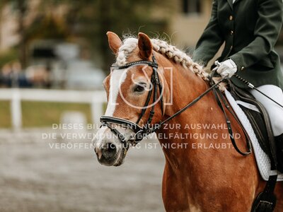 © Niki Buchegger, turnier-fotos.at