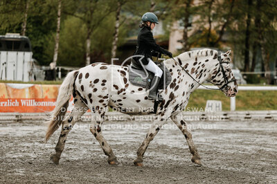 © Niki Buchegger, turnier-fotos.at