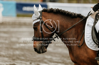 © Niki Buchegger, turnier-fotos.at