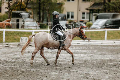 © Niki Buchegger, turnier-fotos.at