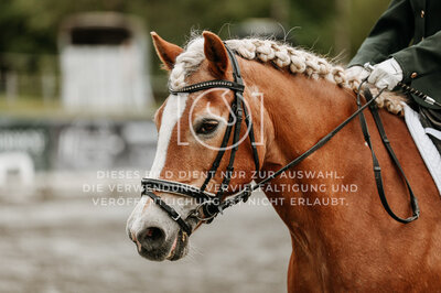 © Niki Buchegger, turnier-fotos.at