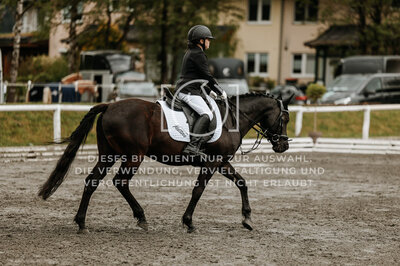 © Niki Buchegger, turnier-fotos.at