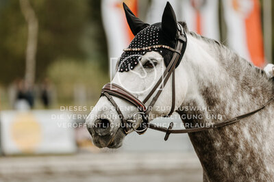 © Niki Buchegger, turnier-fotos.at