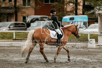 © Niki Buchegger, turnier-fotos.at