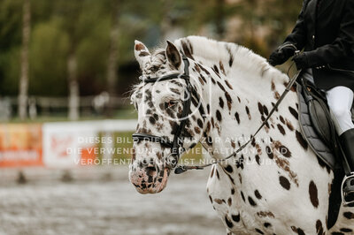 © Niki Buchegger, turnier-fotos.at