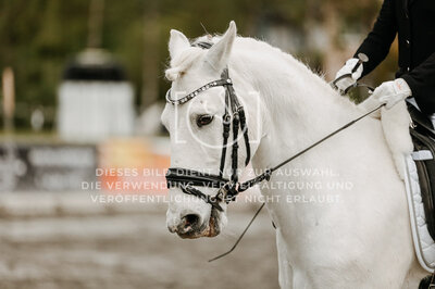 © Niki Buchegger, turnier-fotos.at
