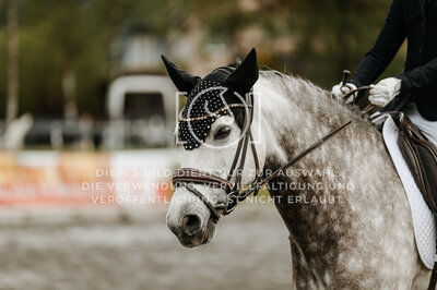 © Niki Buchegger, turnier-fotos.at