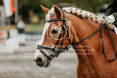 © Niki Buchegger, turnier-fotos.at