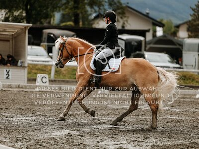 © Niki Buchegger, turnier-fotos.at