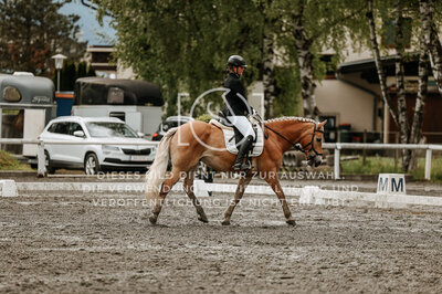 © Niki Buchegger, turnier-fotos.at