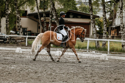© Niki Buchegger, turnier-fotos.at