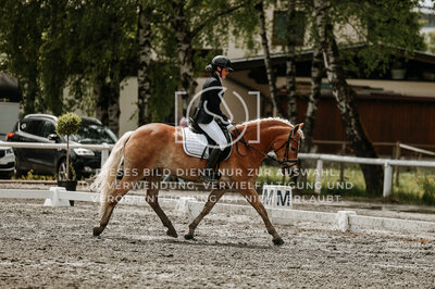 © Niki Buchegger, turnier-fotos.at