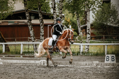 © Niki Buchegger, turnier-fotos.at