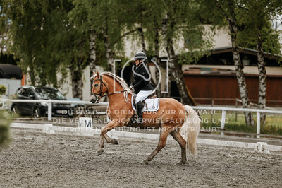 © Niki Buchegger, turnier-fotos.at