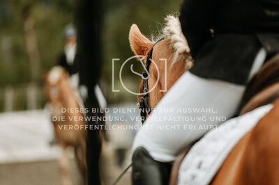 © Niki Buchegger, turnier-fotos.at
