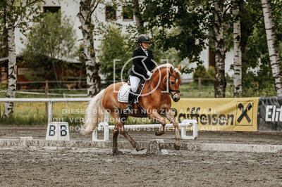 © Niki Buchegger, turnier-fotos.at