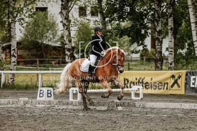 © Niki Buchegger, turnier-fotos.at