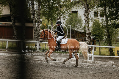 © Niki Buchegger, turnier-fotos.at
