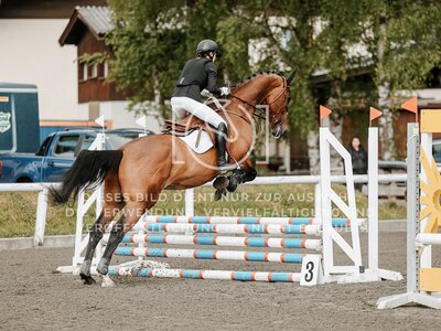 © Niki Buchegger, turnier-fotos.at