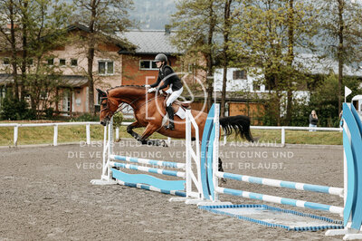 © Niki Buchegger, turnier-fotos.at