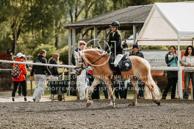 © Niki Buchegger, turnier-fotos.at
