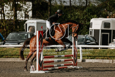 © Niki Buchegger, turnier-fotos.at
