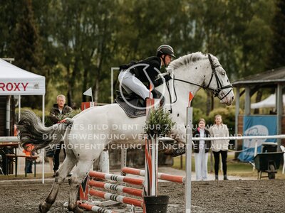 © Niki Buchegger, turnier-fotos.at