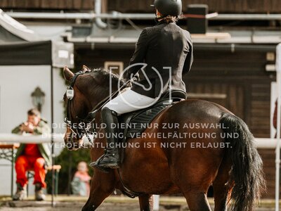 © Niki Buchegger, turnier-fotos.at
