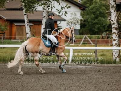 © Niki Buchegger, turnier-fotos.at