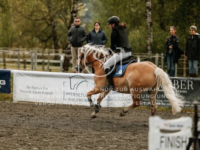 © Niki Buchegger, turnier-fotos.at