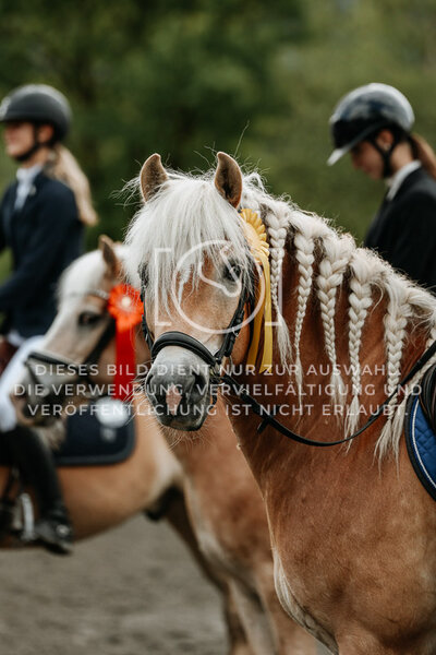 © Niki Buchegger, turnier-fotos.at