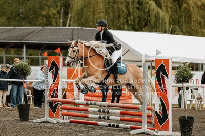 © Niki Buchegger, turnier-fotos.at