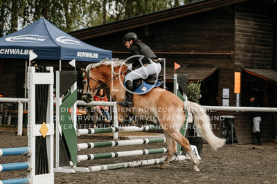 © Niki Buchegger, turnier-fotos.at
