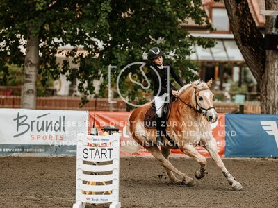 © Niki Buchegger, turnier-fotos.at
