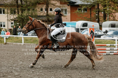 © Niki Buchegger, turnier-fotos.at