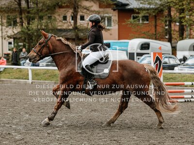 © Niki Buchegger, turnier-fotos.at