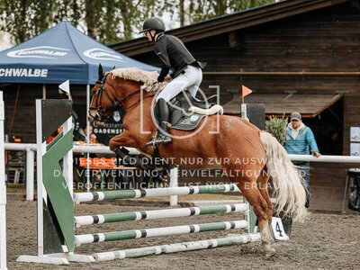 © Niki Buchegger, turnier-fotos.at
