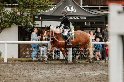 © Niki Buchegger, turnier-fotos.at